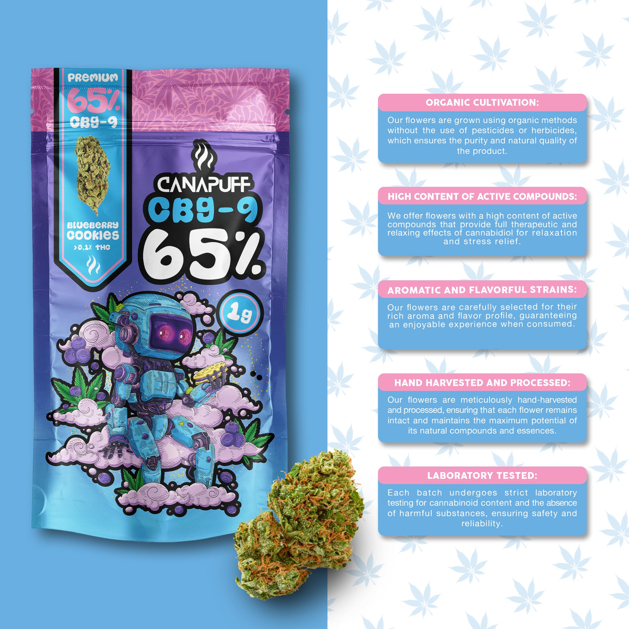 Canapuff - Biscoito de Mirtilo 65% - Flores CBG9