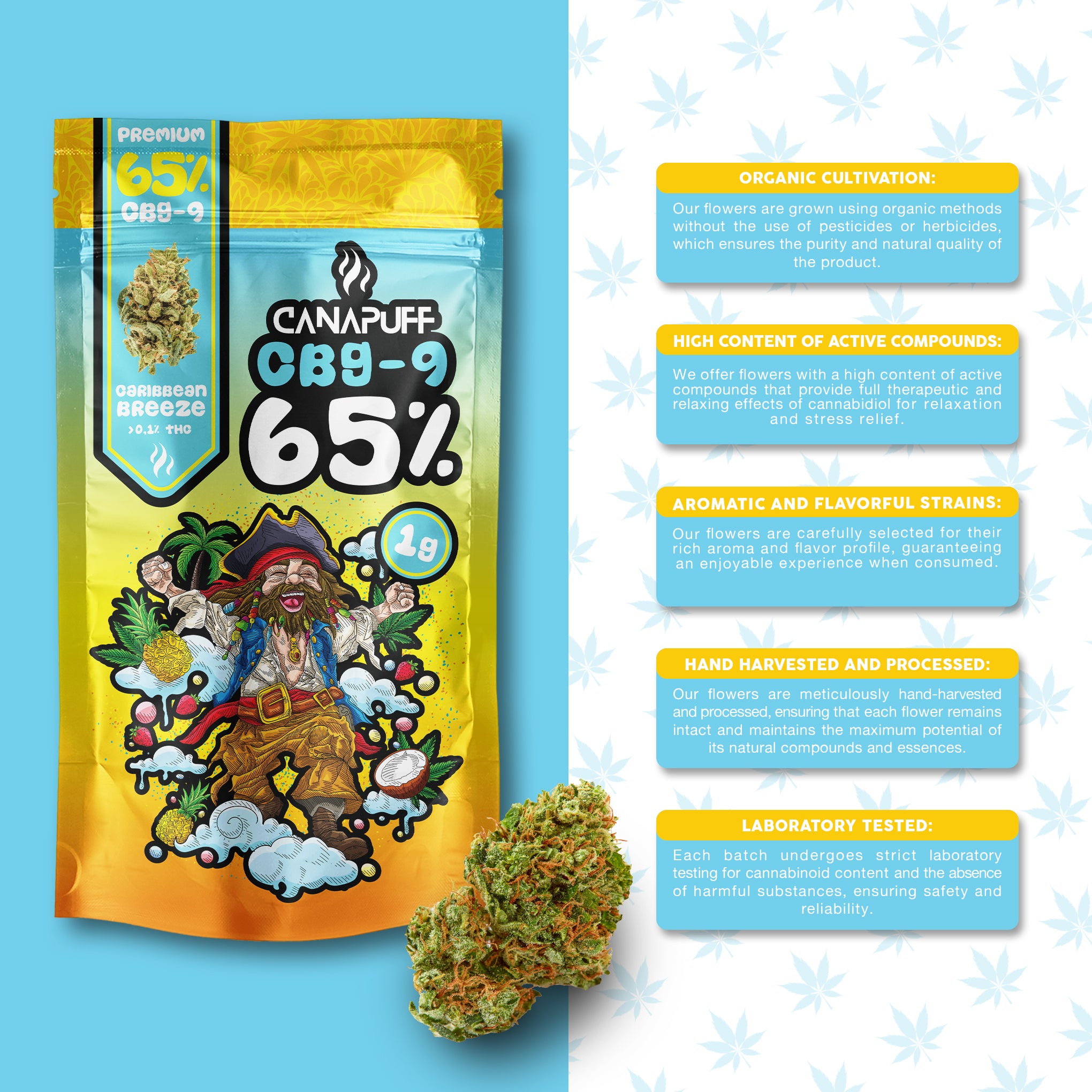 Canapuff - Brisa Caribenha 65% - CBG9 Flores