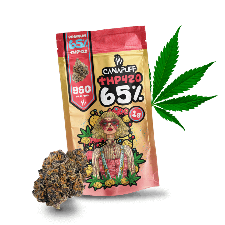 THP420 Flores GSC 65%