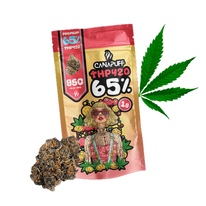 THP420 Flores GSC 65%